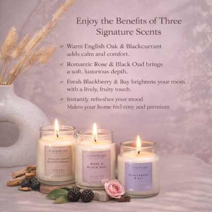 Luxury Scented Candles (Set of 3)