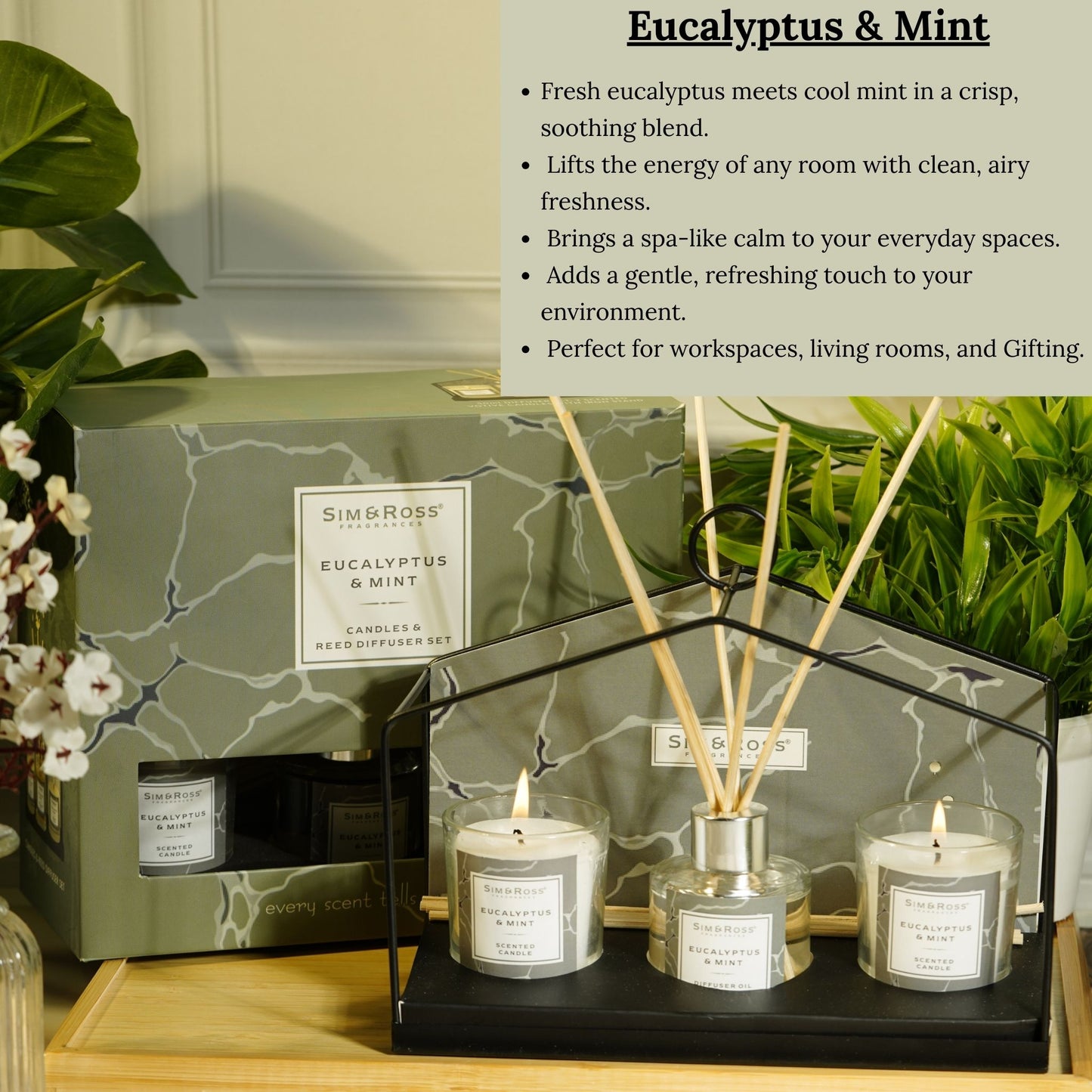 Sim & Ross Eucalyptus & Mint Fragrance Gift Set with Metal Stand