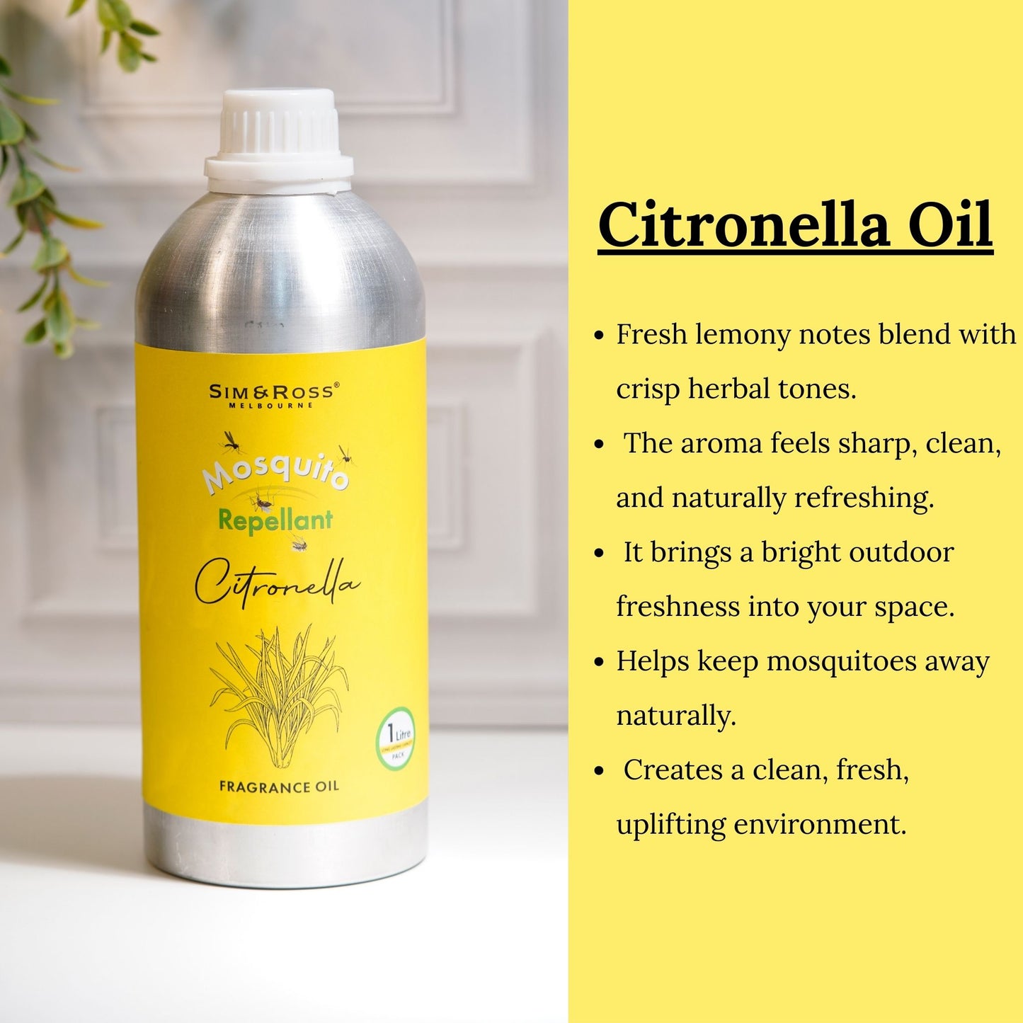 Citronella Fragrance Oil – 1 Litre